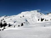 View of the Diedamskopf