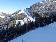 Slopes between Ponte di Legno and Temù