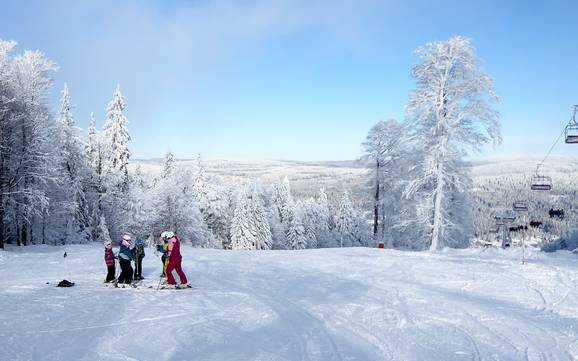 Freyung-Grafenau: environmental friendliness of the ski resorts – Environmental friendliness Mitterdorf – Almberg