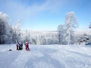 In Mitterdorf, gentle tourism is practiced.