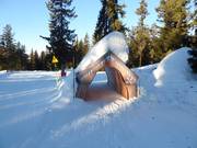 Tip for children  - Little Saint Bernard Adventure Trail