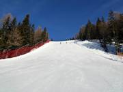 Slope Var "S" to Vierschach