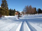 Cross-country ski trail Golf in Crans