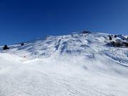 Difficult Carlo Janka slope No. 2