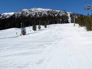 Familiebakken downhill run