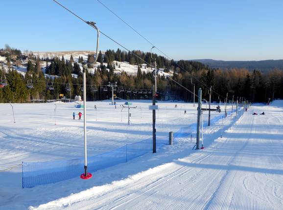 Patyczak Nartorama I (N3)