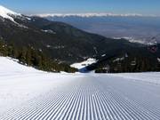 Perfect slope grooming in Bansko