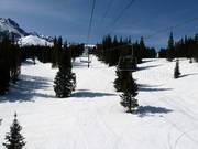 Magnolia downhill run