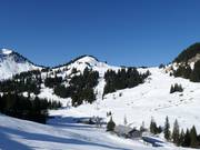 View towards Wildgunten