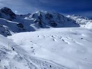 Morteratsch glacier descent with Piz Palü (3900 m)