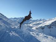 The "Gamssprung" in Schröcken