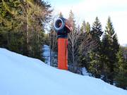High-performance snow cannon at Arber