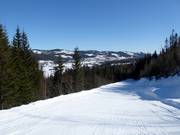 Easy connecting slope No. 36 to Høgegga