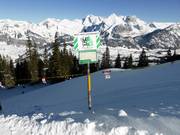 Forest Wildlife Conservation Areas