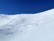 Difficult slope Col (Zinal)