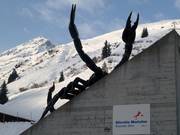 BlackScorpions - Fancy a little cold sweat?