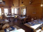 Les Marmottes des Alpes (Gryon)