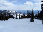 Comet downhill run in the Black Forest area