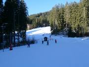 Easy slope at the platter lift K parkovišti