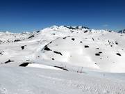 Plenty of open ski terrain in Beret
