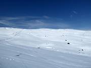 Off-piste in Riksgränsen