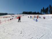 Beginner area in the ArBär Kinderland