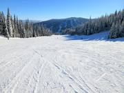 Wide and easy slope Smile