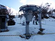 Brumby T-Bar - T-bar