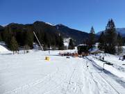 Practice lift Lyra-Skikuli