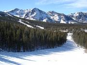 Wonderful forest runs at June Mountain