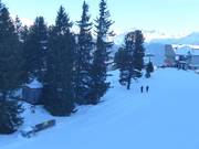 Übungslift Bergstation - Rope tow/baby lift with low rope tow