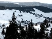 Runs at the Kapellenlift and Scheuermattlift