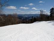 Wide forest run in Stowe
