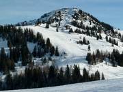 Ski slope Grubhörndl Standard