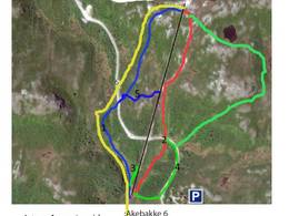 Ski resort Vegglifjell