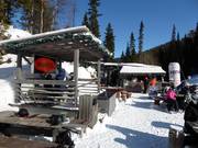 Mountain hut tip Monomesta