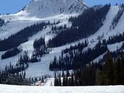 View of the mogul slopes in the Kicking Horse ski area