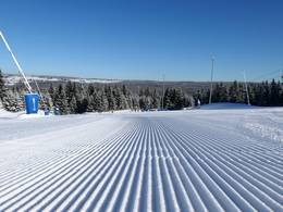 Plešivec – Abertamy