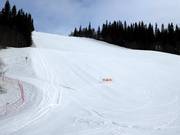 Intermediate slope Stjärnbacken