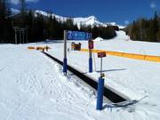 Conveyor belt and children's area Mini Moose