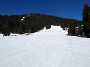 Practice area in Königsleiten at the Märchenwaldlift