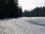 Trail at the Bleamlalm