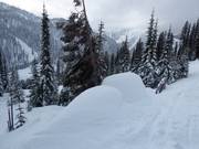 Enough natural snow in the Whitewater ski area