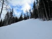 The Monster Glades challenge even the experts