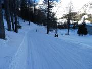 Ski trail to Hahnlgraben