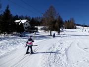 Zirbenlift 1 - T-bar