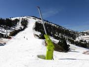 Comprehensive snowmaking in Pal-Arinsal