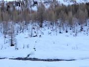 Cross-country ski trail Lazinser Tal