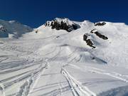 Freeride paradise in the Wilden Krimml