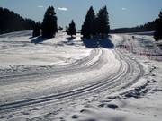 Trail in Madonna di Campiglio